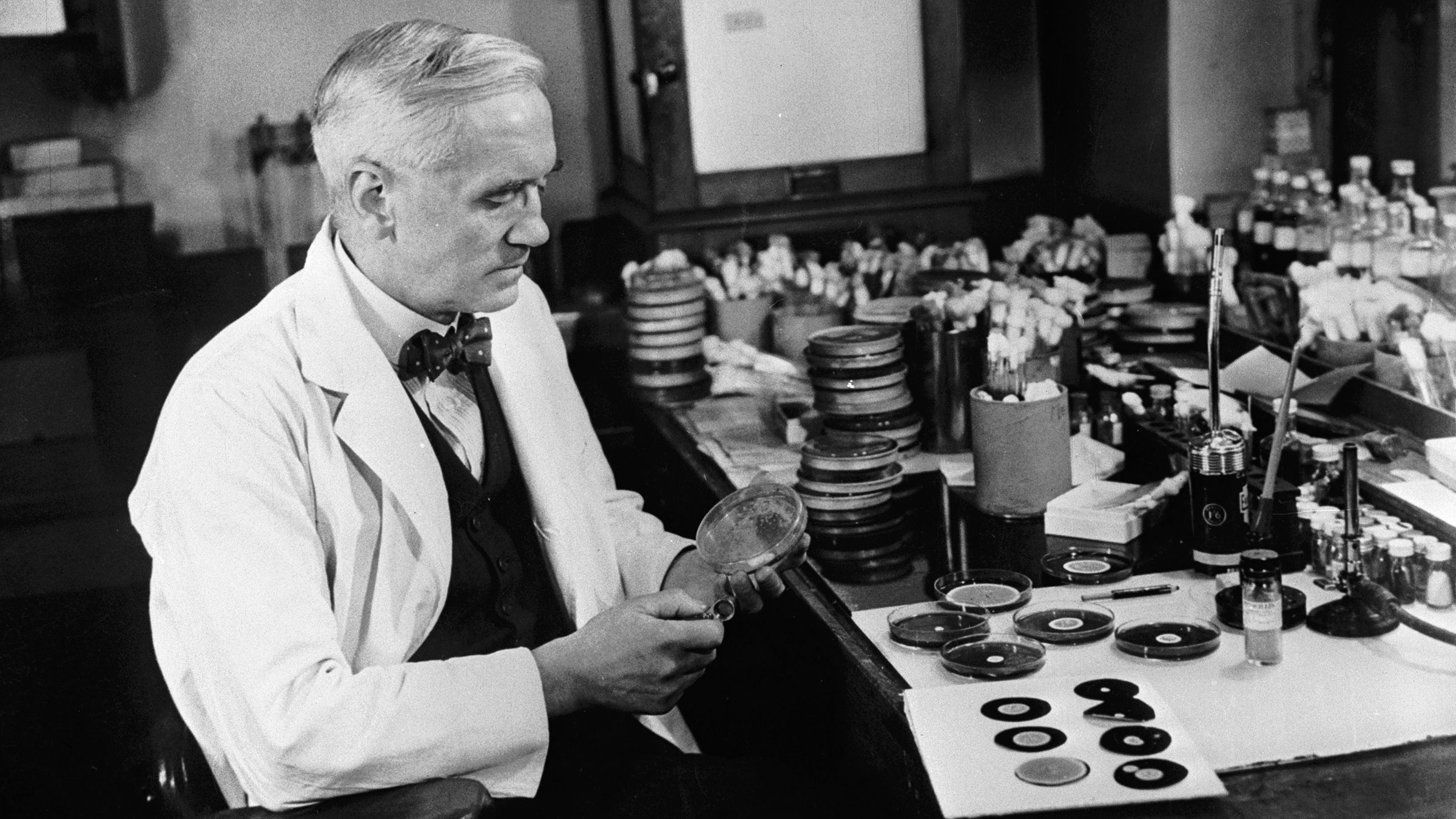 Alexander fleming